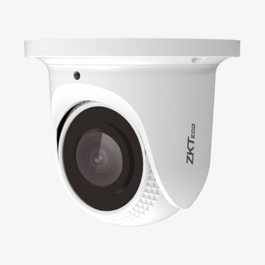Zkteco 2 Megapixel Analog Eyeball Camera