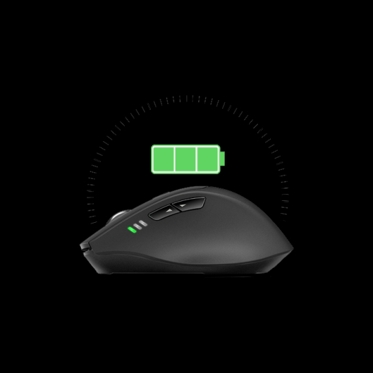 RAPOO MT550W Multi-mode Wireless Charging Mouse- Black