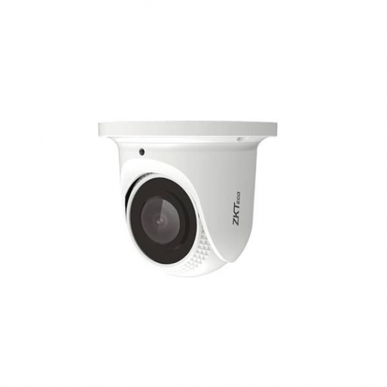 Zkteco 2MP Fixed Lens Face Detection Eyeball IP Camera