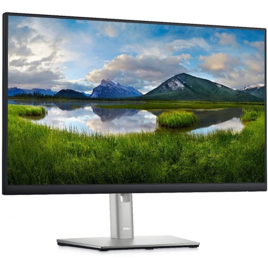 Dell 23.8inch 16:9 IPS Monitor(P2422H)