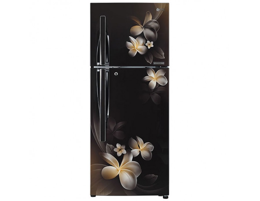 LG 258 Ltr Double Door Refrigerator GL-C292RHPN