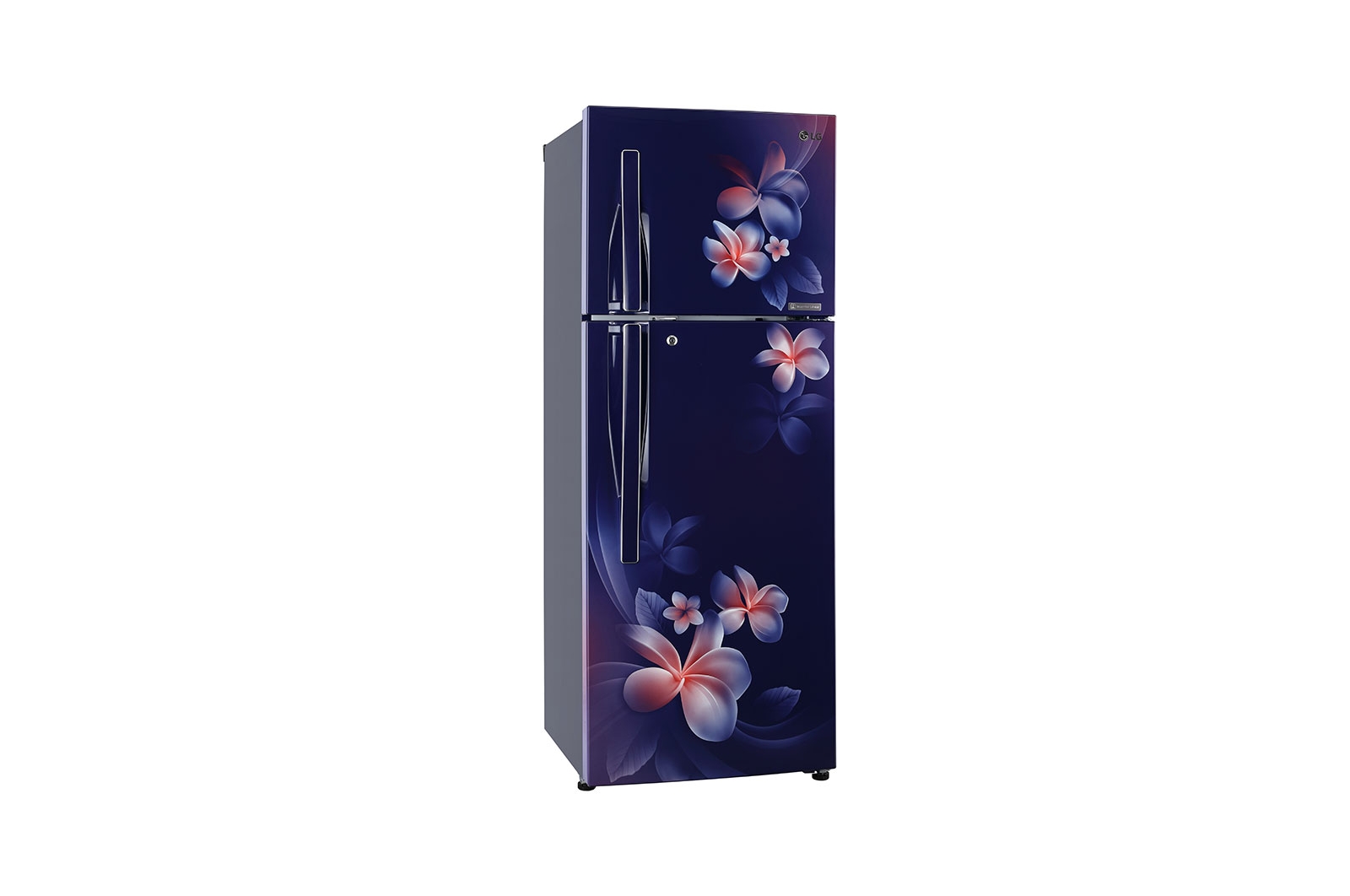 LG 285 Ltr Double Door Refrigerator GL-C302RBPN