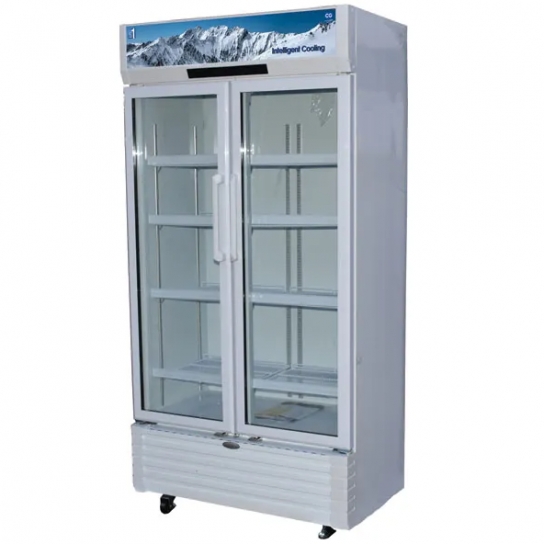 CG Double Layer Tempered Glass Door 810 ltrs Showcase Freezer